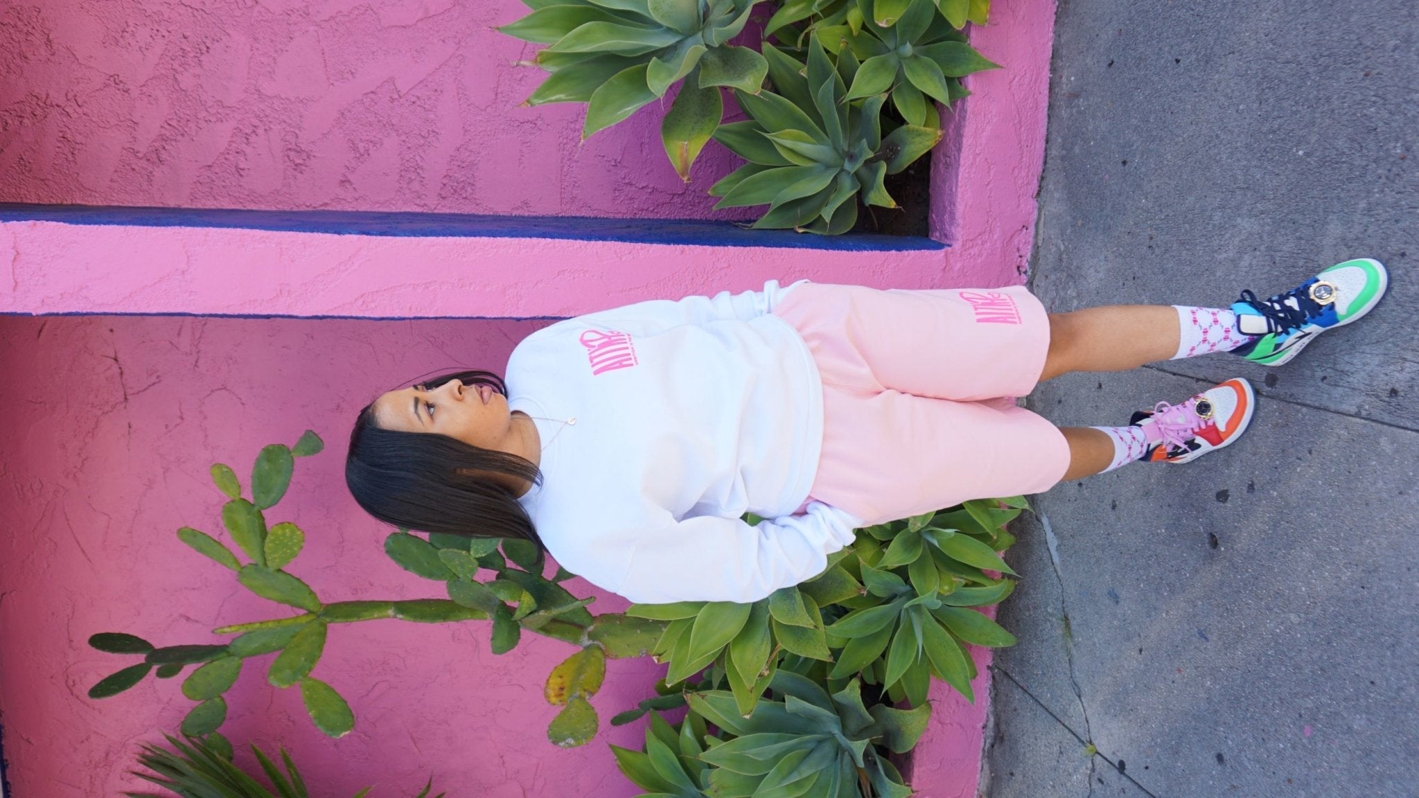 AITNP Sweat Short Essentials - Ambition Is The New Pink