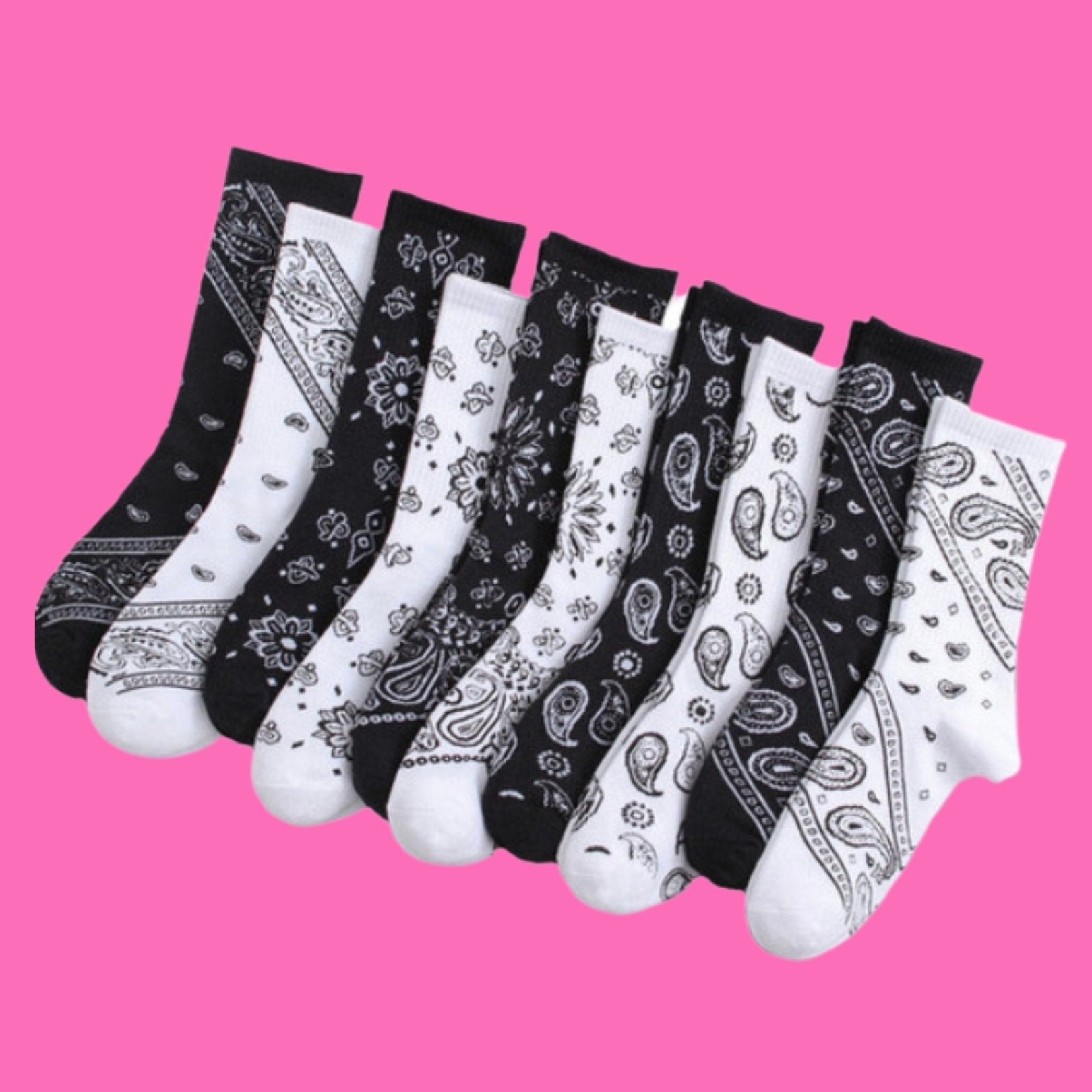 Bandana Dreams Socks - Ambition Is The New Pink
